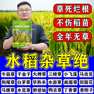 水稻田苗后除草专用剂不伤苗稗草千金子莎草直播田旱稻通用除草剂