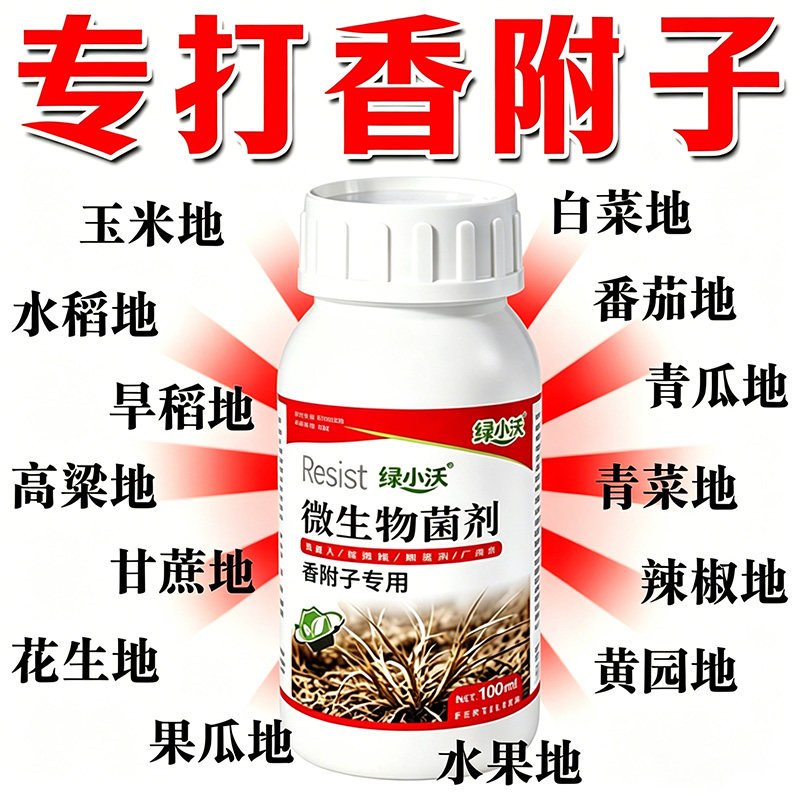 香附子专用烂锄草助根剂菜地荒地野外不伤作物香附子强效渗透助剂