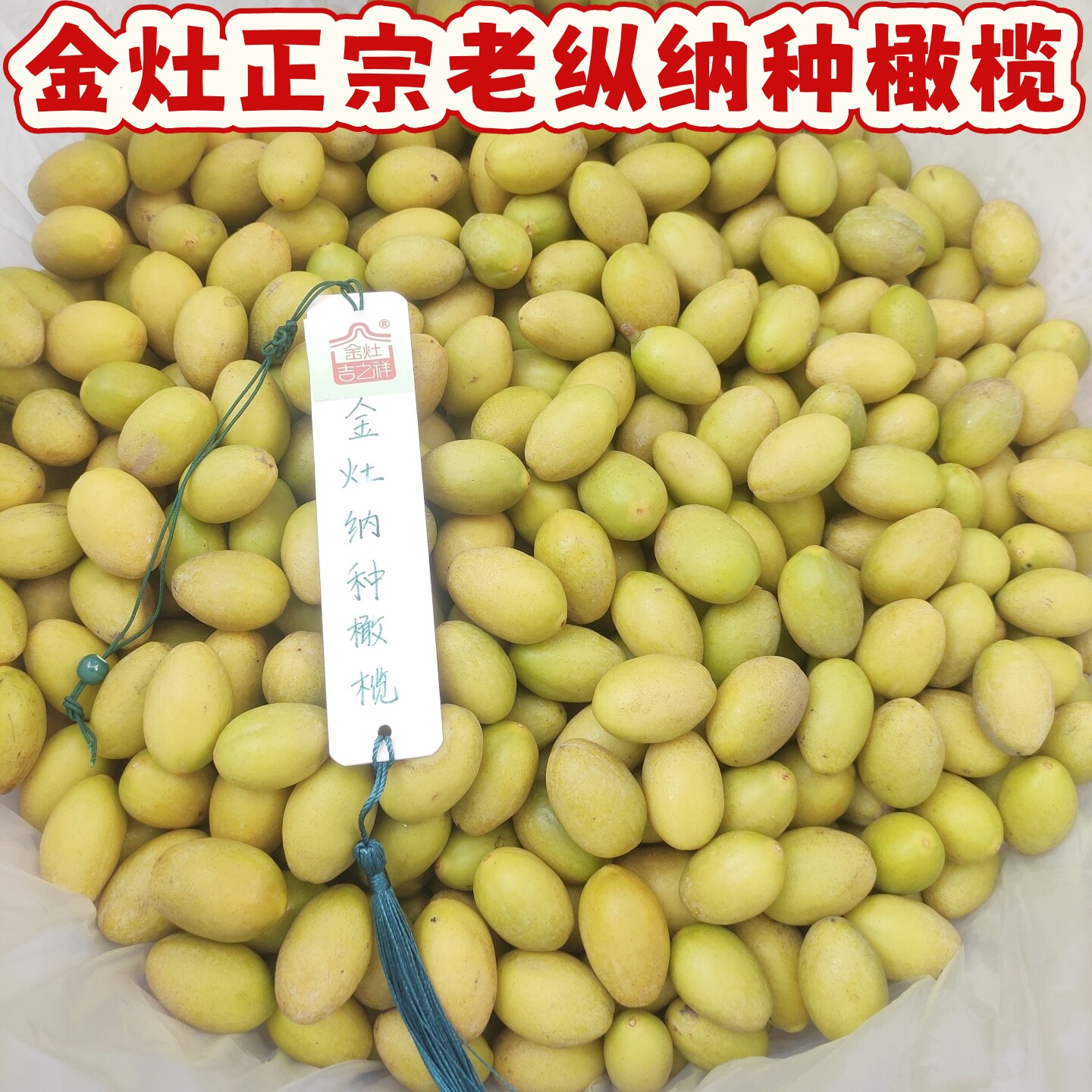 正宗潮汕金灶纳种橄榄新鲜青橄榄现摘回甘生吃煲汤节日手信鲜果