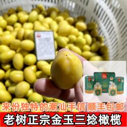 广东新鲜水果潮汕正宗金灶吉之祥金玉三捻橄榄金灶三捻橄榄礼盒装