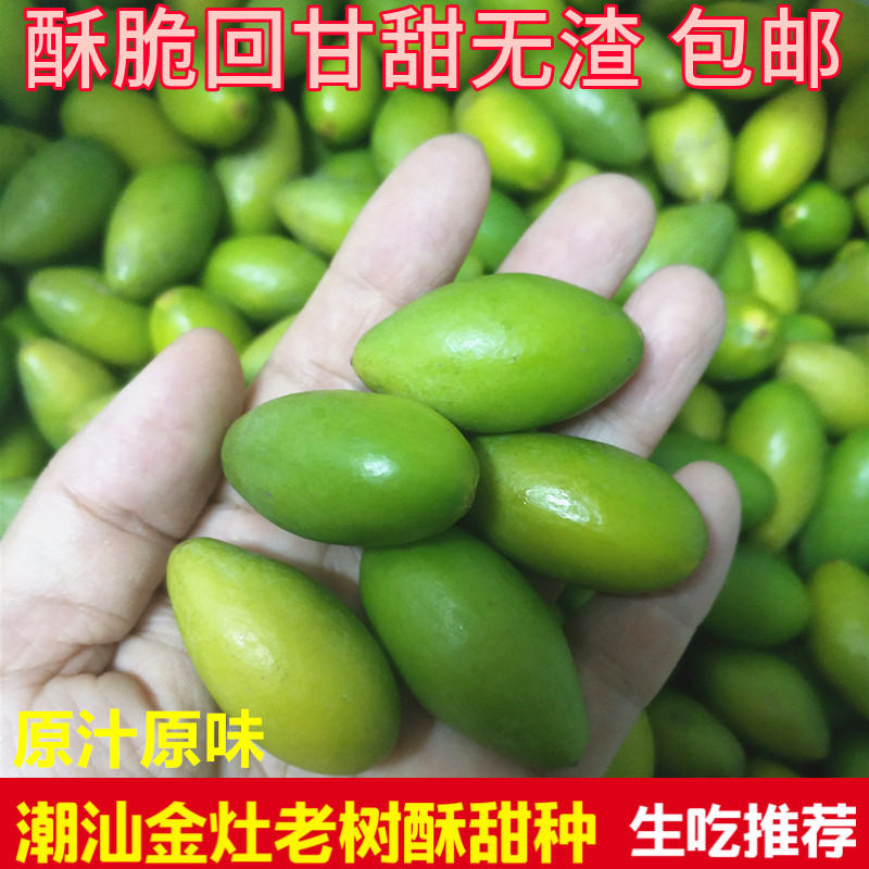 2025新鲜二号青橄榄原味酥甜种广东潮汕金灶吉之祥水果生吃孕妇