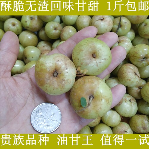 当季柿饼甜油甘日常煲汤生吃榨汁