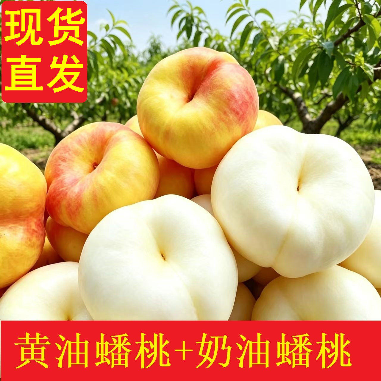 山东蒙阴黄金油蟠桃奶油脆甜新鲜水果孕妇当季黄心扁桃子彩虹蟠桃