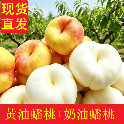 山东蒙阴黄金油蟠桃奶油脆甜新鲜水果孕妇当季黄心扁桃子彩虹蟠桃