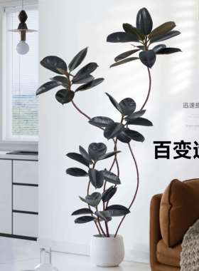 仿真绿植盆栽室内大型橡皮树高端轻奢假生植物客厅装饰摆件沙发旁