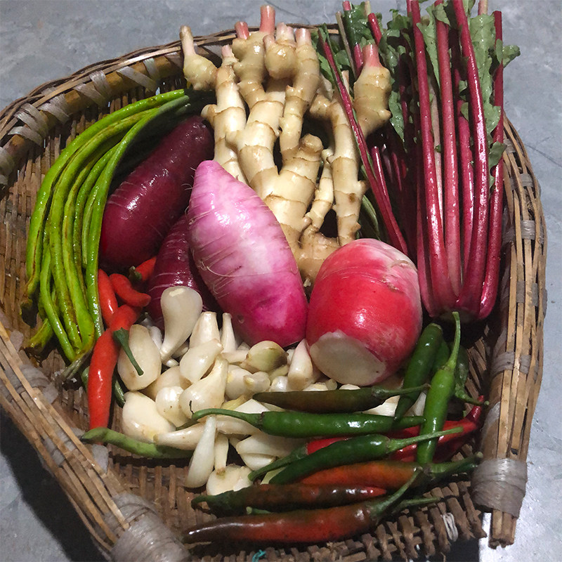 泡菜原材料生姜 萝卜 泡菜辣椒 茭头 野山椒 豇豆 大蒜头 榨菜头