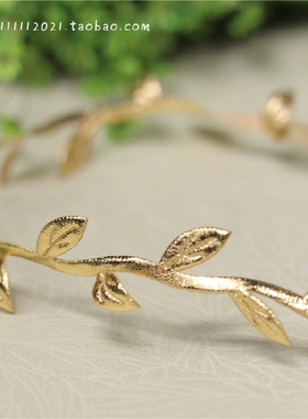 仿真叶子 叶枝 金色 花朵花环装饰 DIY手工装饰 5元4米