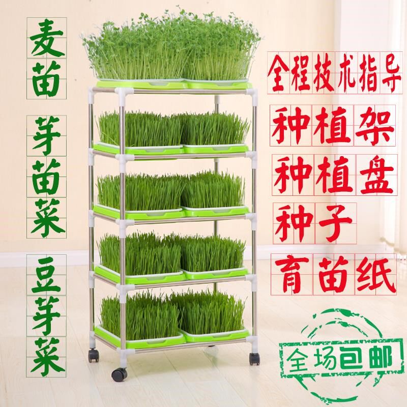 芽苗菜育苗盘豆芽菜小麦芽菜豆苗水培蔬菜发芽神器种盆植托盘架籽