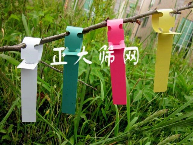 pvc环套标签苗木标签花卉标签园艺标签,打印标签(七色)
