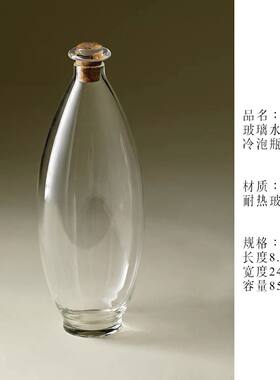 高硼硅玻璃冷泡瓶绿茶花茶家用耐热泡茶器冷萃杯创意水瓶