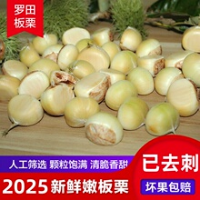 板栗生新鲜嫩板栗仁2025年云南罗田板栗白皮青皮板栗即食水果零食