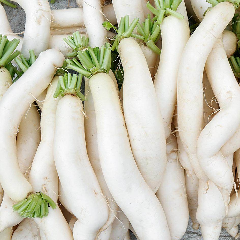 新鲜小白萝卜细长白萝卜当季蔬菜脆小土萝卜可做腌制泡菜晒萝卜干,水产肉类/新鲜蔬果/熟食,萝卜/胡萝卜,淘宝优惠券,粉丝福利购,淘宝优惠卷