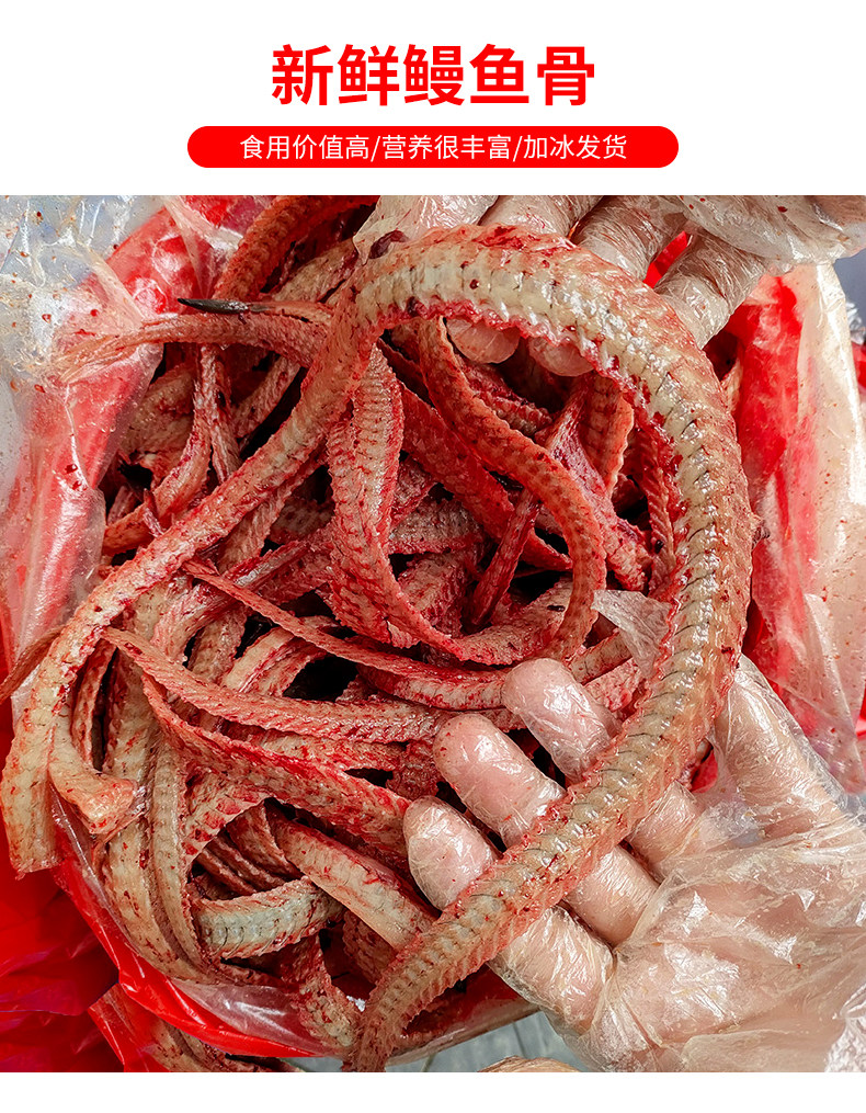 海鲜鳗鱼骨头新鲜淡鳗鱼鲞骨头福建海产品水产鳗鱼骨可晒成鳗鱼干