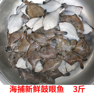 福建比目鱼海捕新鲜偏口鱼鲜活冷冻海鲜水产鲽鱼海鱼鼓眼鱼深海鱼