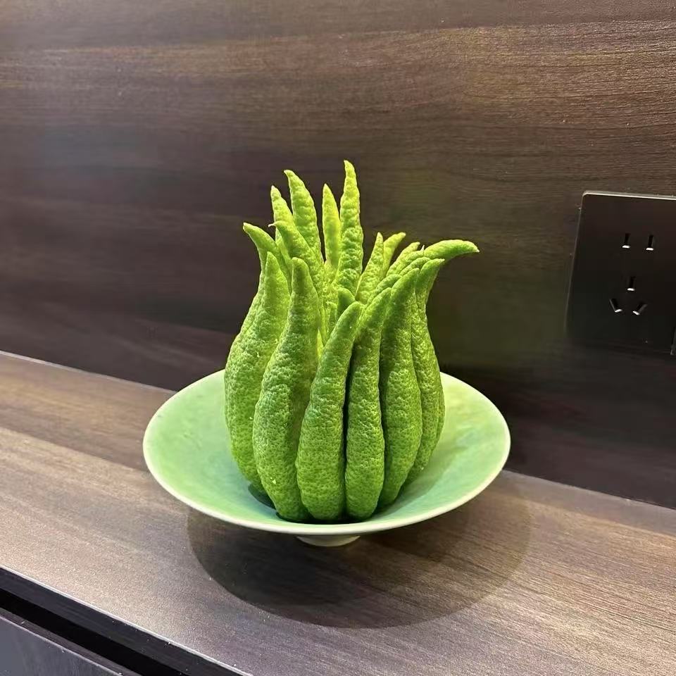 新鲜佛手果高档佛手柑观赏鲜果水培现发茶几摆放清供礼佛古风摆件