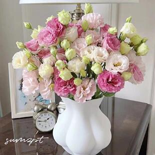 洋桔梗鲜花包邮直发搭云南插花束绿色洋桔梗组合混装家用花桔梗花