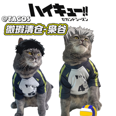 现货它cos/微瑕木兔光太郎宠物衣服小排球少年猫咪cosT恤小狗枭谷