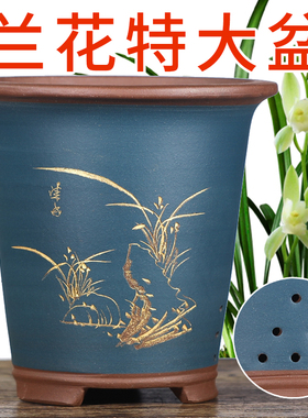 宜兴紫砂兰花花盆专用盆兰草君子兰盆蕙兰吊兰蝴蝶兰大号陶瓷家用