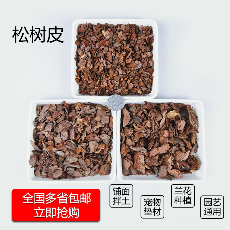 铁皮石斛种苗蝴蝶兰栽培基质包邮
