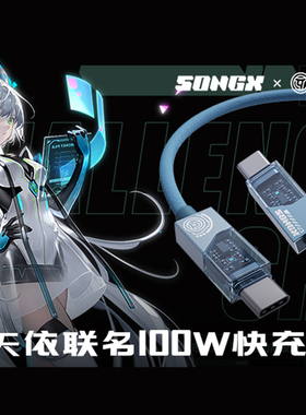 SONGX洛天依联名数据线双Type-C接口充电线100w快充线双c线二次元周边适用安卓vivo小米苹果手机快充电数据线