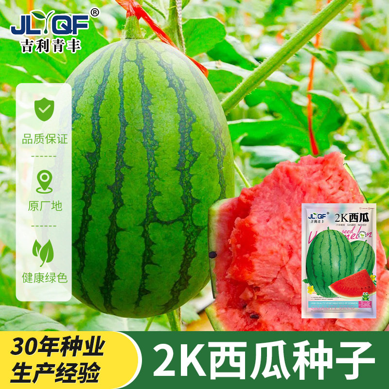 2k西瓜种子南北方阳台盆栽种籽家庭园艺种子