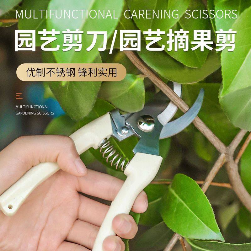 剪枝果树修枝剪刀园艺园林修花枝剪家用强力剪子神器花剪剪枝剪刀_虎窝淘
