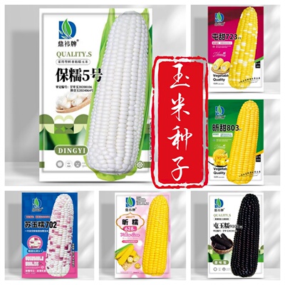 鼎袆保糯屯甜苏玉糯玉米种子大全菜用型甜味鲜食粘糯水果玉米种籽