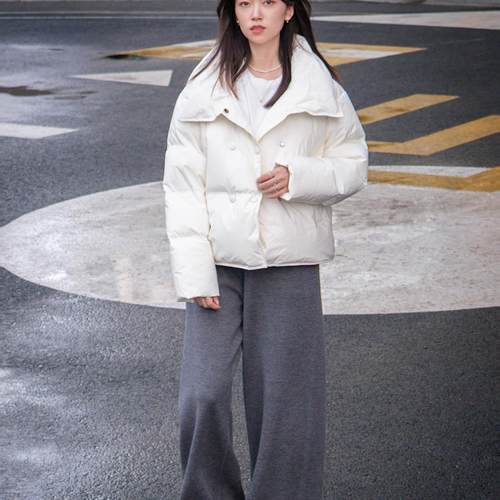 短款磁吸扣2024冬季白鹅绒服翻领