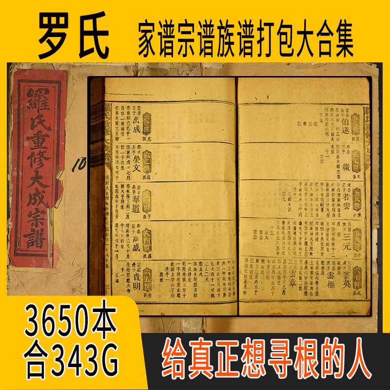 罗氏家谱 罗氏族谱 罗氏宗谱 罗姓祖谱寻根溯源研究收藏集合打包
