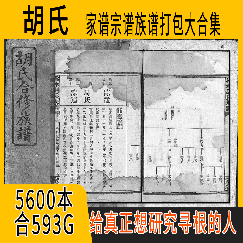 胡氏家谱 胡氏族谱  胡氏宗谱 胡姓祖谱寻根溯源研究收藏集合打包