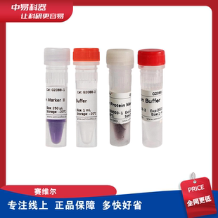 WB预染蛋白Marker 彩虹条带Marker PAGE电泳蛋白分子量标准250ul