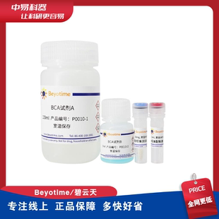 增强型 碧云天BCA蛋白浓度测定试剂盒 P0010实验室500次生物试剂