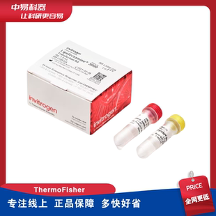 Thermo 转染试剂Invitrogen脂质体 Lipofectamine™ 3000