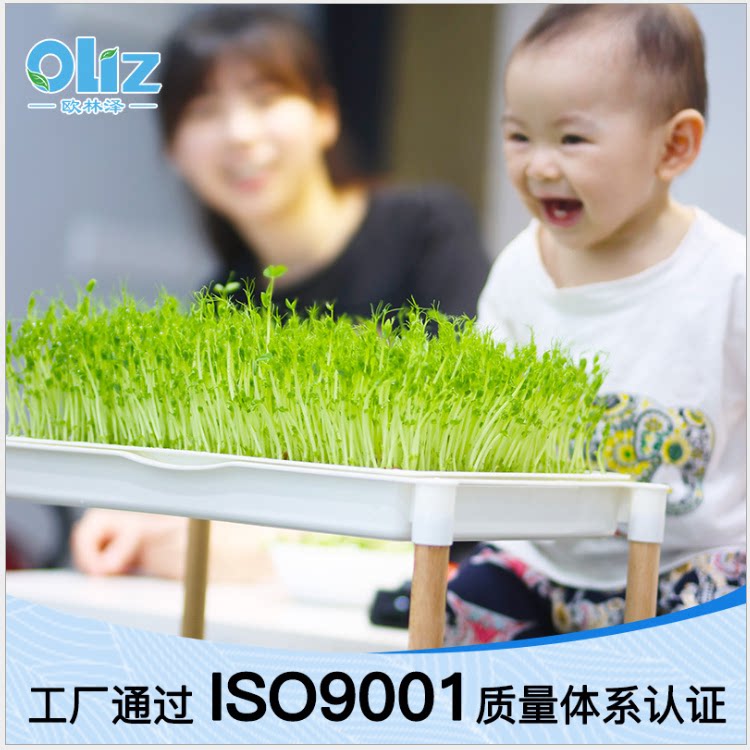 双层芽苗菜育苗盘加密网格水培猫草水增无土栽培多层多功能培育盆
