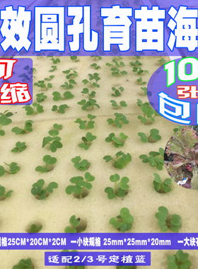 圆孔育苗海绵无土水培蔬菜定植固根海棉高弹性可压缩PU材质密30D