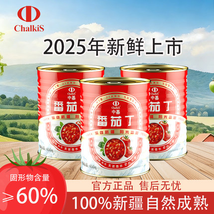 25年新疆中基番茄丁/番时番番茄丁0添加自然成熟新鲜西红柿即食