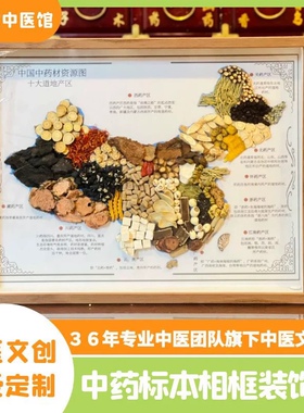 中药地图装饰画中药材标本道地药材中药材产区分布图