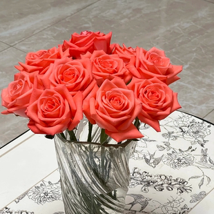 【影星】Movie Star 灌木月季玫瑰切花 橙粉红色花朵 多季重复开