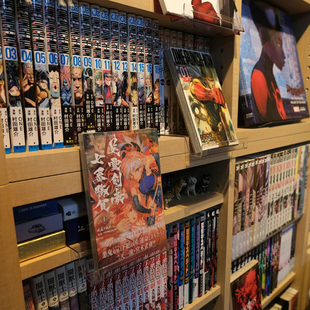 A4漫画加厚展示架A5隔断展示架图书馆书架书店书托架悬挂书架