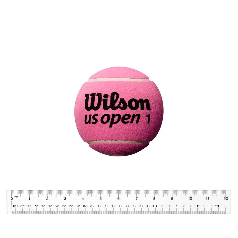 代购Wilson威尔胜网球签名表面趣味互动收藏展示轻便手感5英寸