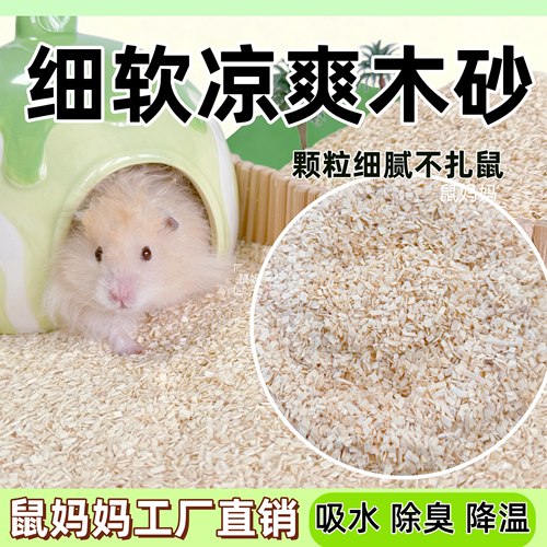 仓鼠夏天凉爽白杨木砂沙畅快挖掘
