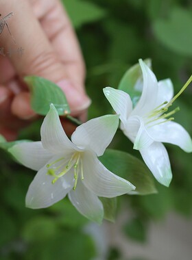 发簪热缩片中式百合花发钗