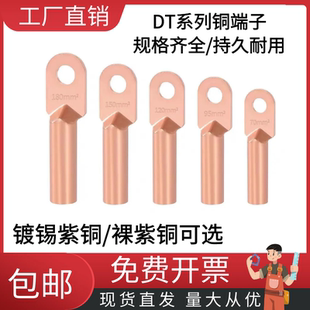 DT铜鼻子紫铜接线端子铜线鼻子电缆线耳铜鼻子线耳接头镀锡
