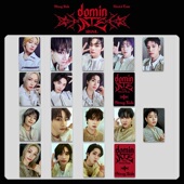 STRAY 特典卡 TOUR首尔场DVD世巡小卡 KIDS演唱会DOMINATE WORLD