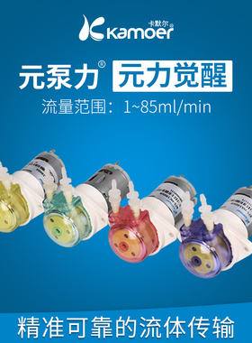卡默尔蠕动泵泵头12v电机流体泵实验室泵水泵卡川尔KFS微型循环泵