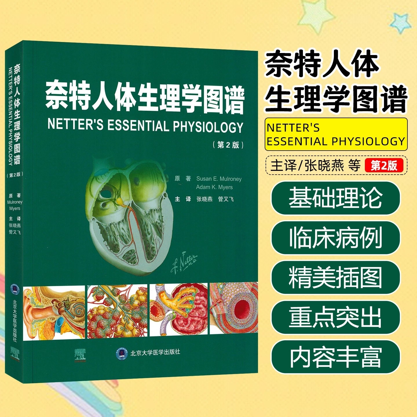 奈特人体生理学图谱(第2版) 张晓燕 管又飞 主译 平装 北京大学医学出版社9787565933400