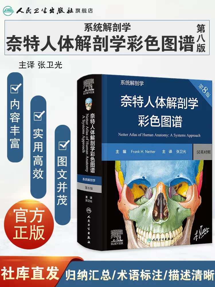 奈特人体解剖学彩色图谱系统解剖