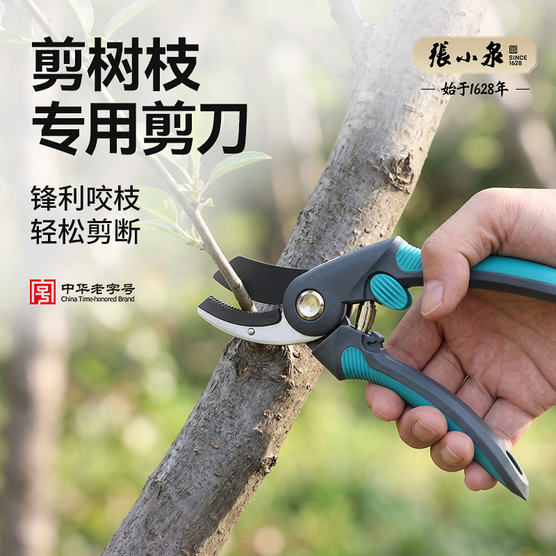 张小泉剪树枝专用剪刀粗枝修花修枝剪省力防滑园艺园林剪刀工具