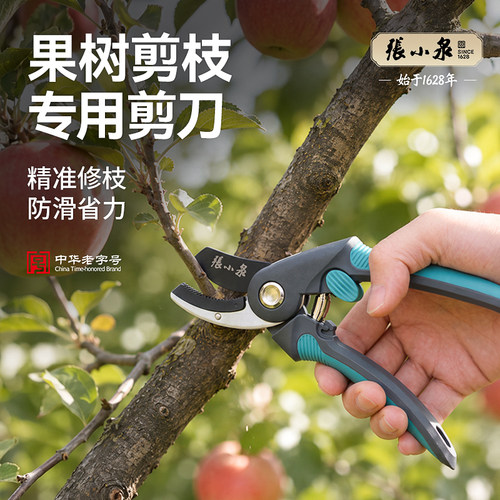 张小泉果树剪枝专用剪刀粗枝树枝修枝剪省力防滑园艺园林剪刀工具