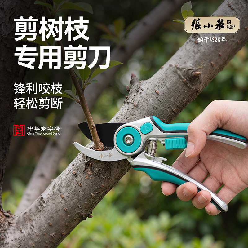 张小泉剪树枝专用剪刀SK5钢园艺剪刀果树绿植修枝剪采摘工具